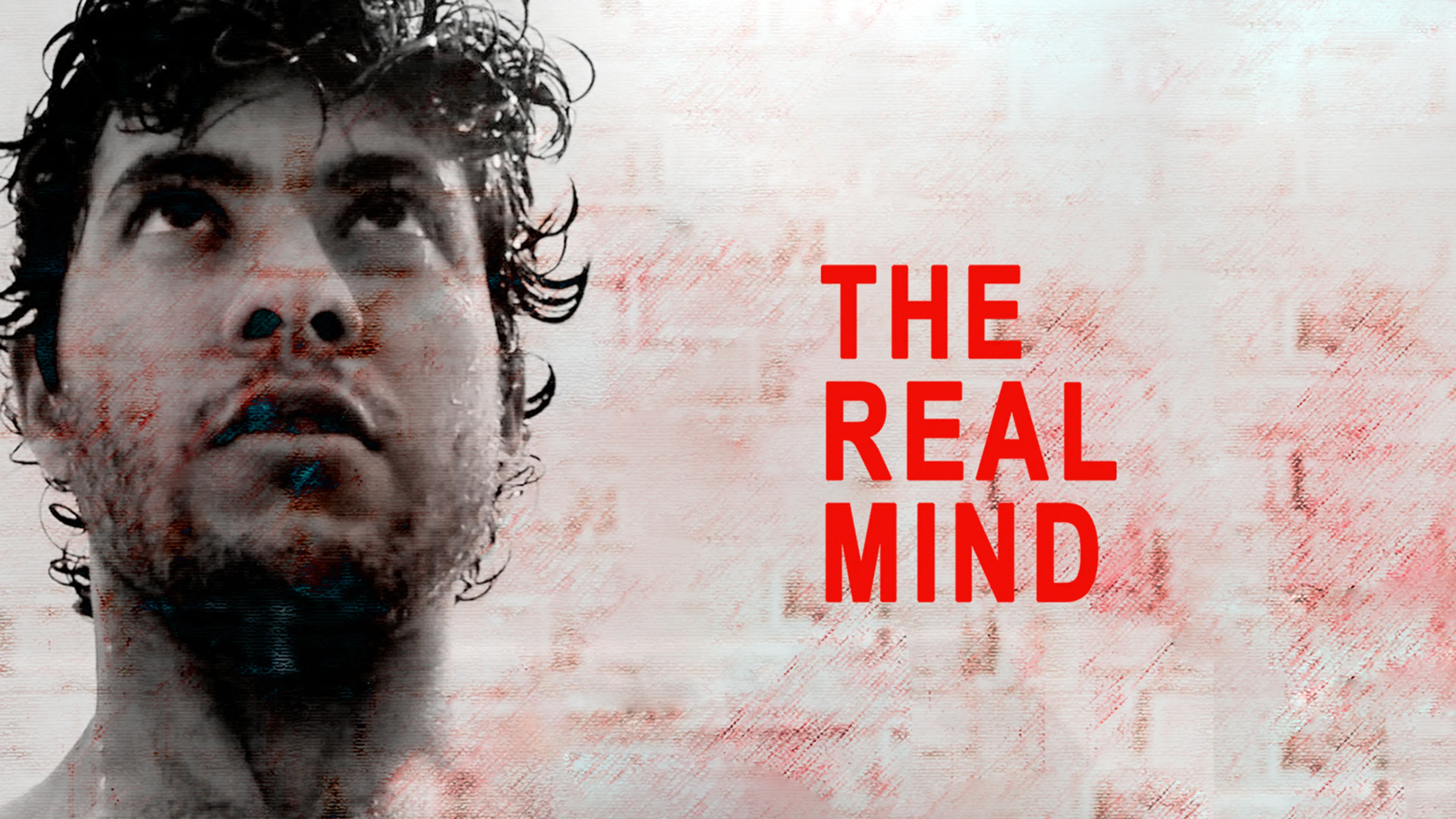 The Real Mind poster